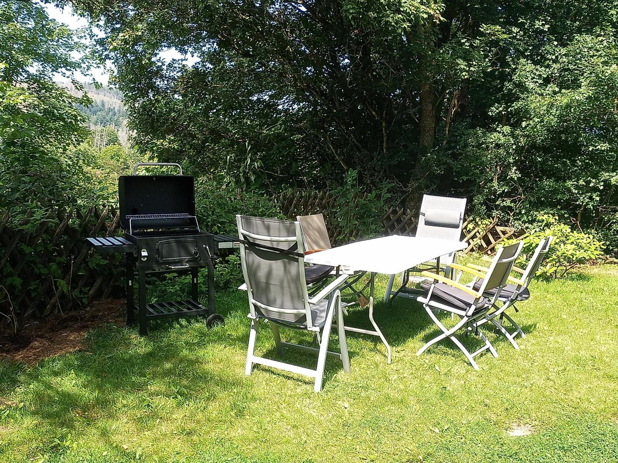 Ferienwohnung Endora Im Harzer Stil, Handgefertigte Moebel - Wlan-Garage Hohegeiß エクステリア 写真